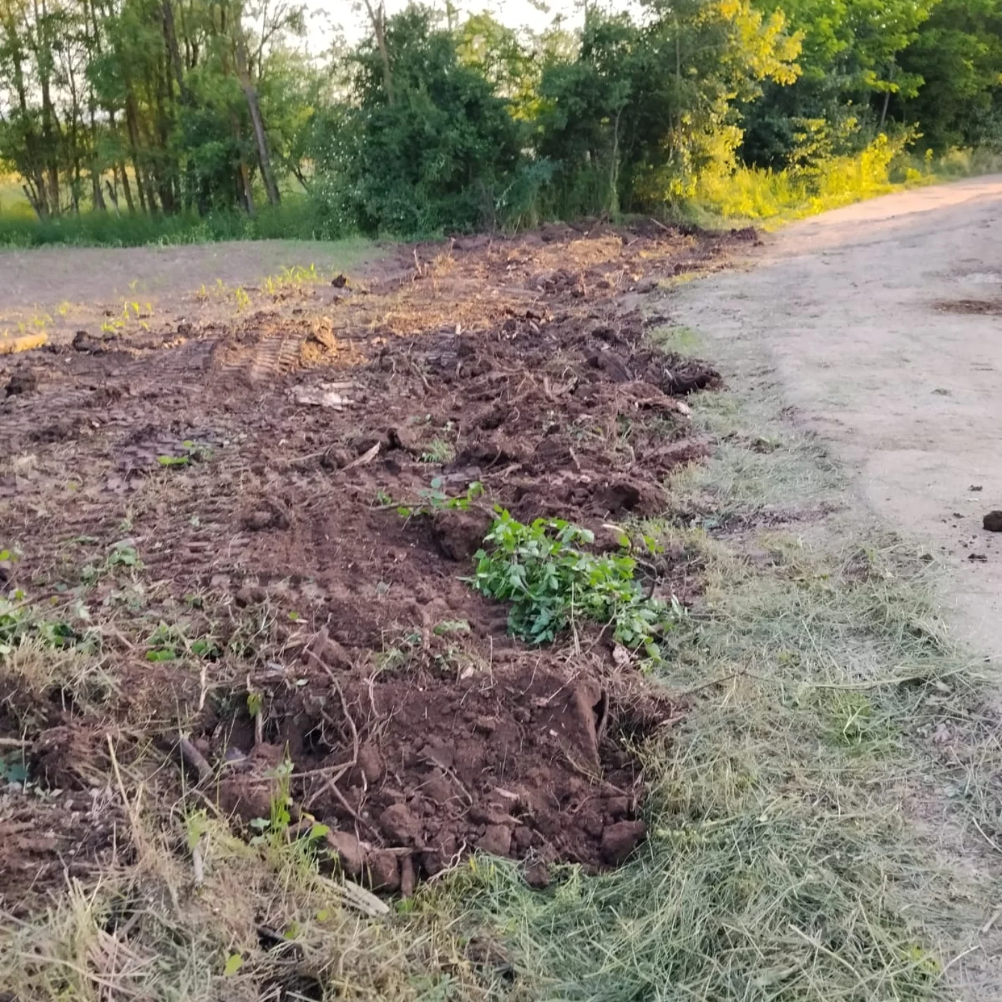 Uklanjanje panjeva i korenja